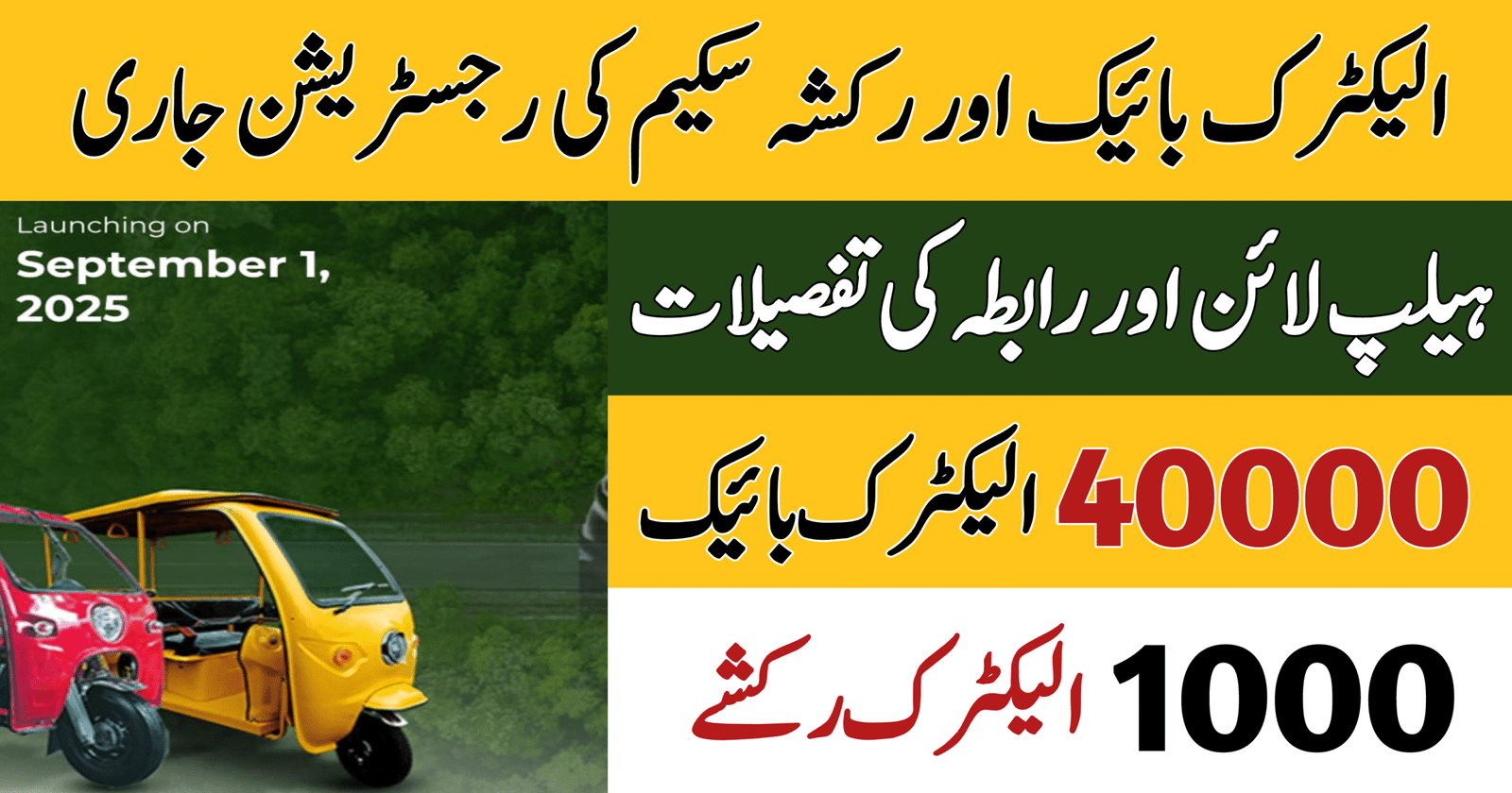 PAVE Scheme Helpline and Contact Details