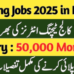 CTI Jobs in Punjab Online Apply