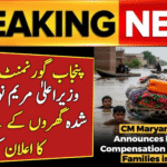 Punjab Govt Flood Relief 2025
