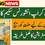 Punjab Crop Insurance Scheme 2025