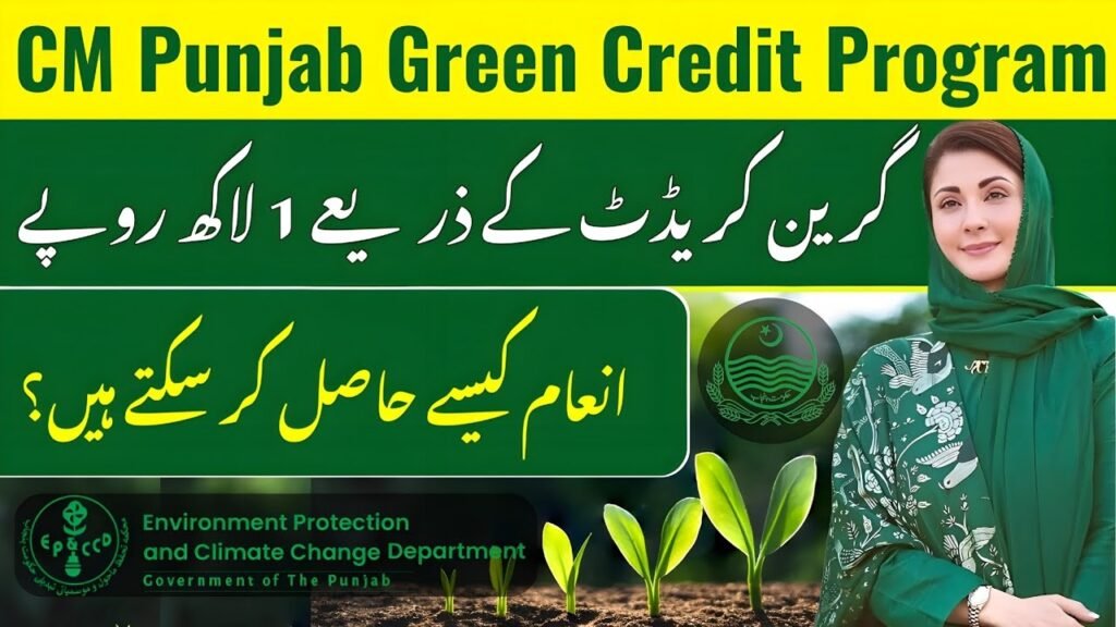 CM Punjab Green Credit Program 2025