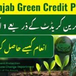 CM Punjab Green Credit Program 2025