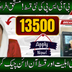 BISP 8171 September Payment