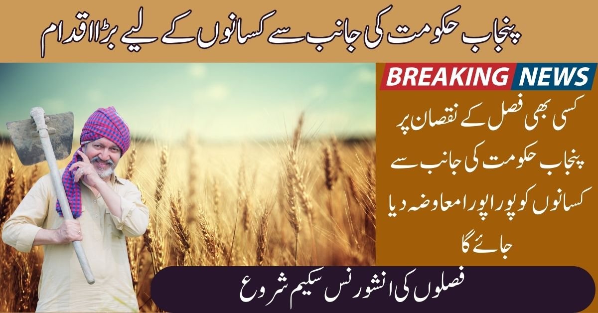 Punjab Crop Insurance Scheme 2025
