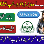 CM Punjab Veterinary Internship