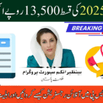 BISP 8171 Online Application Check