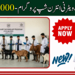 Veterinary & Para-Vet Internship 2025 in Punjab