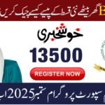 BISP 8171 Payment Check Discreet 2025 – Quick Guide for Safe Withdrawal