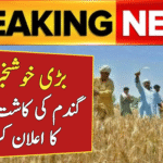 Wheat Cultivation Scheme