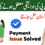 BISP 8171 Payment Suspended
