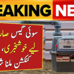 Apply Online for New Domestic Gas Connection