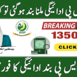 BISP Missing Payment Quick Fixes