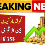 Gold Market Update