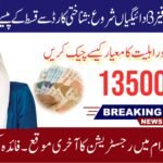 8171 Ehsaas Program 2025 – CNIC Check Online for Eligibility and Payment Update