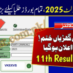 Punjab 11th Class Result