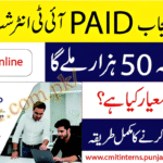 Chief Minister IT Internship Program