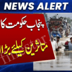 Punjab Flood Relief Survey