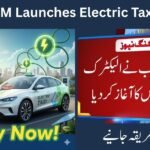 Punjab CM Launches Electric Taxi Service