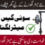 Apply Online for New Domestic Gas Connection: SNGPL / RLNG Meter Registration 2026