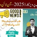 CM Punjab Parwaz Card