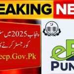 Register a Single Person Company in Punjab