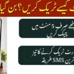 How to Track Passport in Pakistan via SMS & Token Number 2025