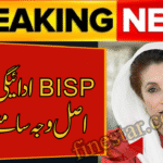 BISP 8171 Payment Suspended