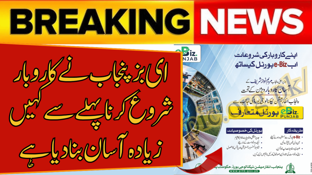 eBIZ Punjab