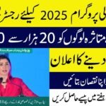 Punjab Flood Relief Survey 2025: Registration, Documents, and Benefits