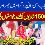 Today Update: Punjab Dhee Rani Program: How To Apply Online and Get Financial Help