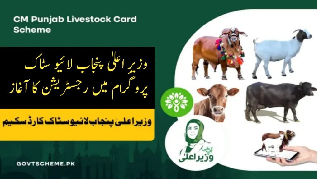 How To Apply For CM Livestock Card 2025 (New Method)