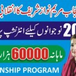 Punjab Intern Teachers Scheme 2025: How to Apply for Rs. 65,000 Monthly Incentive