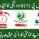 BISP 8171 Payment Cycle