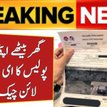 Check Your Traffic Police E Challan Online