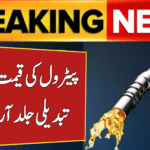 Major Change in Petrol Price
