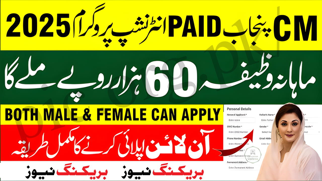 Punjab IT Internship Program