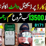BISP Wallet Account