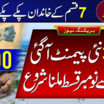8171 Check Online CNIC Ehsaas Program 2025 Pakistan BISP web portal