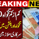 Govt Employees Salary Boost Pakistan 2025–26 | Major Pay Raise Details