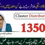 BISP Kafalat New Cluster Payment Method