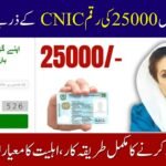 Ehsaas Program 25000 CNIC Check
