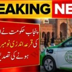 Punjab to Hold E-Taxi Scheme Balloting