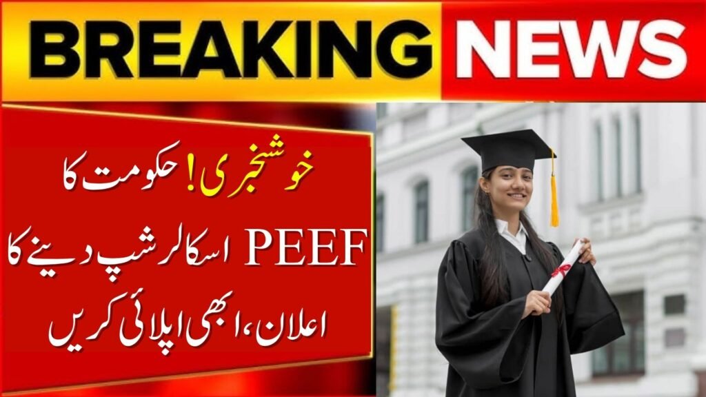 PEEF Scholarship 2025