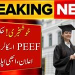 PEEF Scholarship 2025