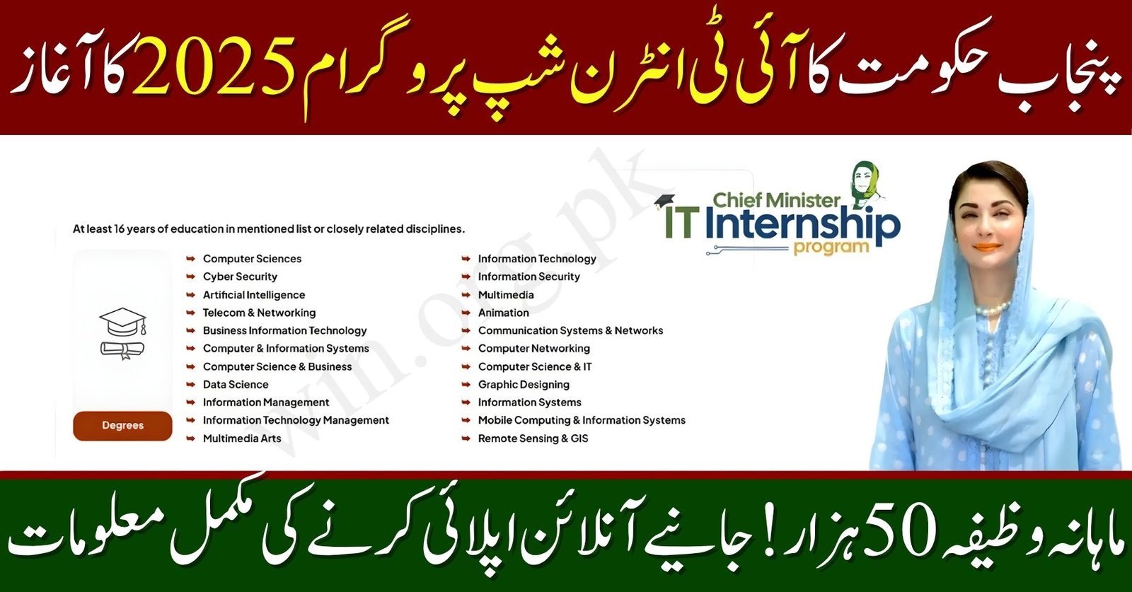 CM Punjab IT Internship Program