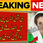 BISP Survey How to Secure Rs 14,500 Assistance