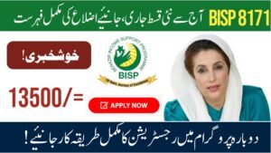 BISP 8171 Payment Check by CNIC Online 2025