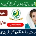 How To Solve BISP 933 Error And Receive HBL Payment Quickly