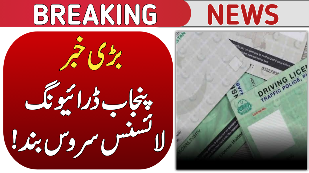 Punjab Driving License Service