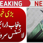 Punjab Driving License Service